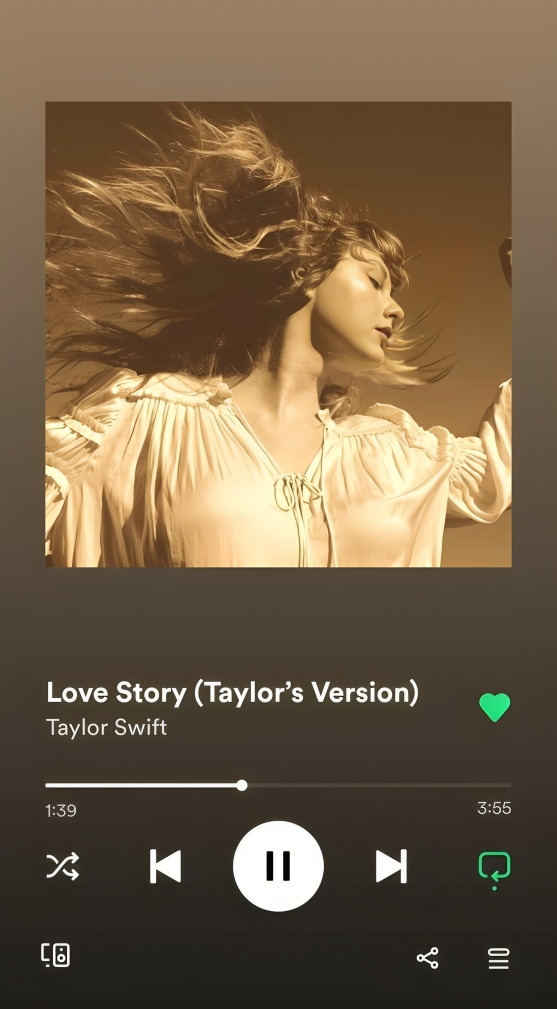 LOVE STORY SPOTIFY